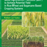 Good Agronomy Practices Jain Brothers