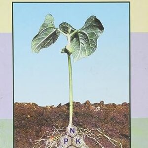 Soils and Fertilizers